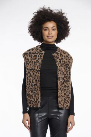 Elona Leopard