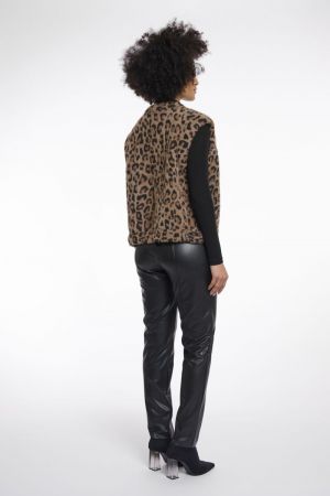 Elona Leopard