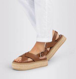 Chino turn up 010 white
