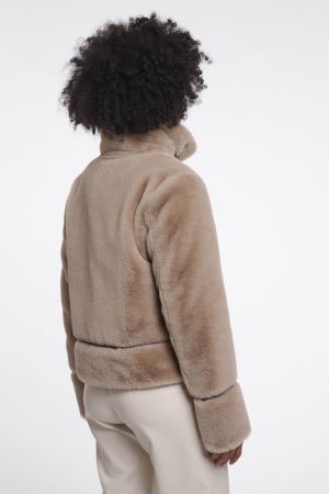 Lambra 10866 oat